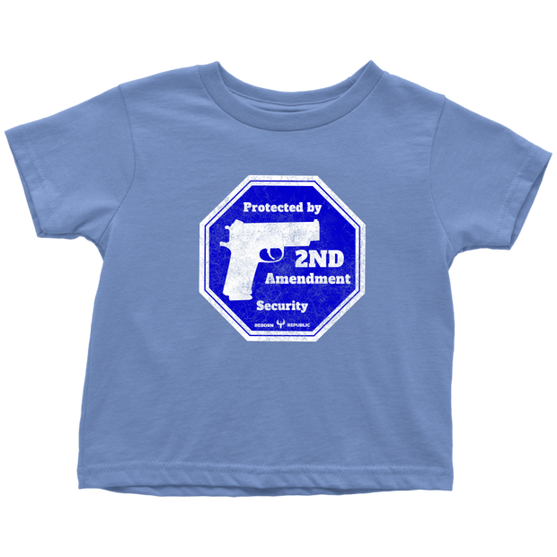 Protected By 2nd Amendment